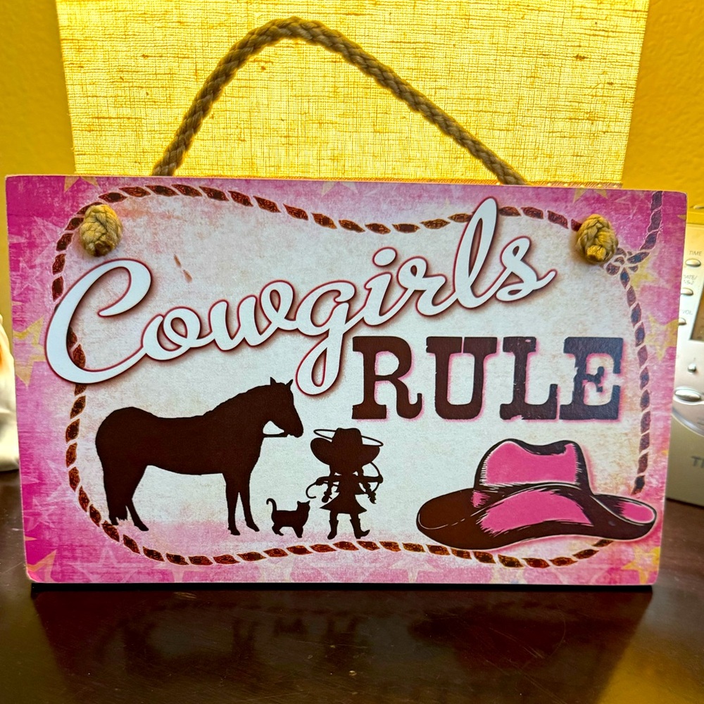 “Cowgirls RULE” Sign - Pink & Brown with braided Cord - USA
